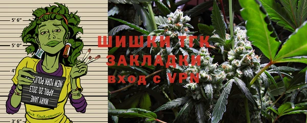 молекула духа Щучье