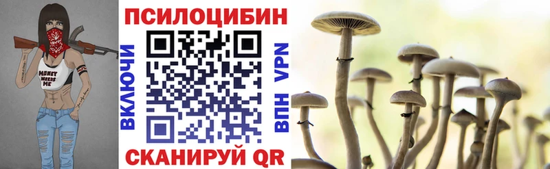 где найти наркотики  Рубцовск  hydra ССЫЛКА  Галлюциногенные грибы Magic Shrooms 