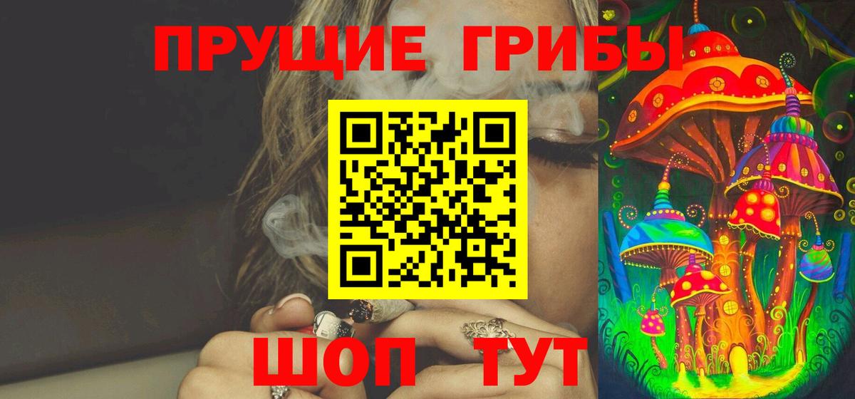 Псилоцибиновые грибы Psilocybe Рубцовск